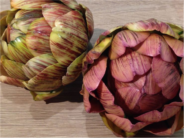 Artichoke Vegetable Benefits
