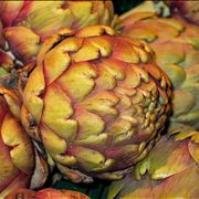 Artichoke Healthy Vegetable