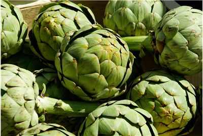 Artichoke Vegetable History