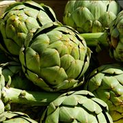 Artichoke Vegetable History