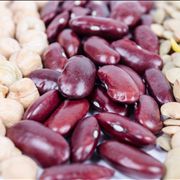 Different Beans Types