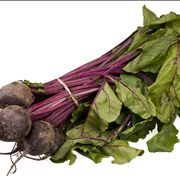 Beetroot Bundle