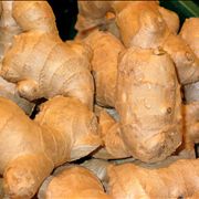 Ginger Roots