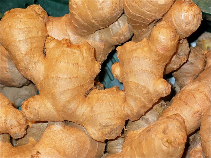 Ginger Healthy Vegetable