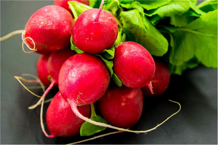 Radishes Vegetable