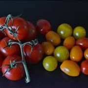 Tomato Different Types