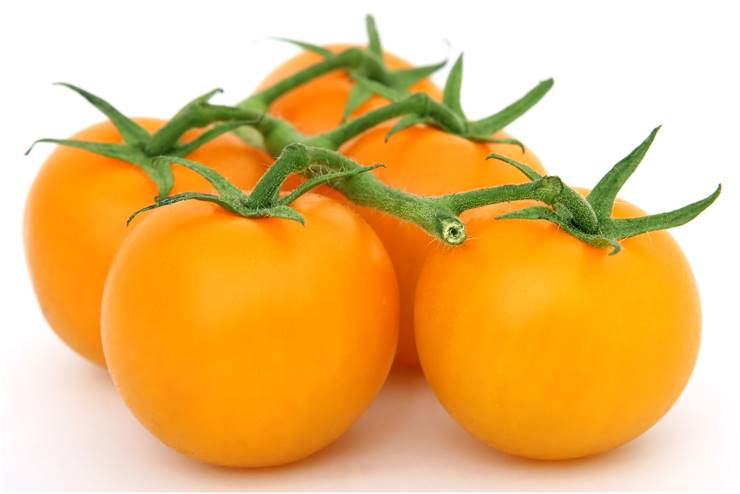 Tomato Yellow